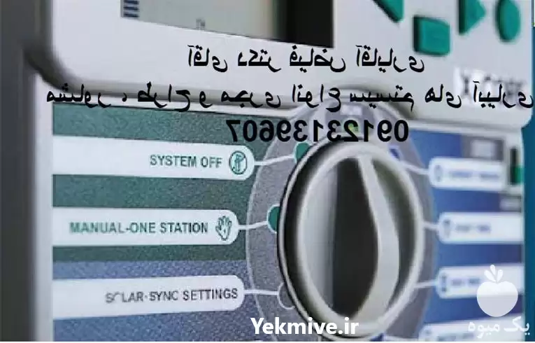 سیستم آبیاری قطره ای در گروه سازنده در یکمیوه -عکس1