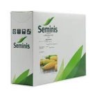 بذر ذرت شیرین مسنجر در چاه بهار در گروه خرید و فروش بذر ذرت در یکمیوه