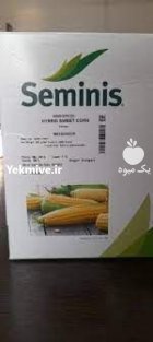 بذر ذرت مسنجر سمینیس در بزمان در گروه خرید و فروش بذر ذرت در یکمیوه