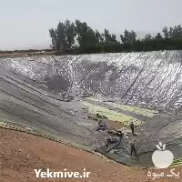 قیمت خرید اجرای استخر کشاورزی استخر در شیراز در گروه خرید و فروش استخر کشاورزی در یکمیوه