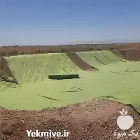 قیمت خرید ارائه دهنده مناسب ترین در شیراز در گروه خرید و فروش استخر کشاورزی در یکمیوه