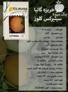 بذر خربزه گالیا سیتیرکس کلوز در گروه خرید و فروش بذر خربزه در یکمیوه