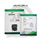 بذر فلفل دلمه پلاتو سمینیس در گروه خرید و فروش بذر فلفل در یکمیوه