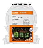 بذر فلفل دلمه فلاویو نانهمز در ساری در گروه خرید و فروش بذر فلفل در یکمیوه