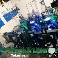 فروش پمپ آب حلزونی در تبریز در گروه خرید و فروش پمپ کشاورزی در یکمیوه