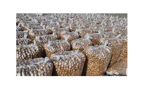 فروش قیمت خرید لیمو خشک سفید در گروه خرید و فروش میوه خشک در یکمیوه -عکس1