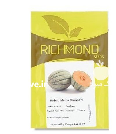 بذر ملون خربزه ویونا در باشت در گروه خرید و فروش بذر خربزه در یکمیوه -عکس1