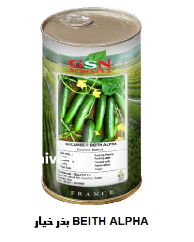 فروش بذر خیار BEITH ALPHA جی در اهواز در گروه خرید و فروش بذر خیار در یکمیوه -عکس1