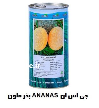 فروش بذر ملون آناناسی بذر ملون در اهواز در گروه خرید و فروش بذر ملون در یکمیوه -عکس1