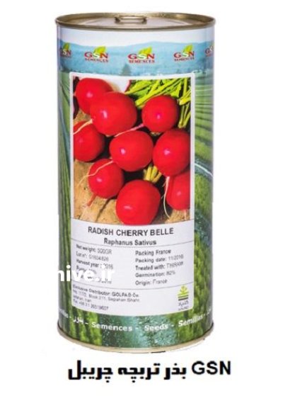 فروش بذر تربچه RADISH CHERRY BELLE در اهواز در گروه خرید و فروش بذر سبزی در یکمیوه -عکس1