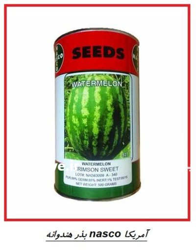 فروش بذر هندوانه ناسکو بذر هندوانه در اهواز در گروه خرید و فروش بذر هندوانه در یکمیوه -عکس1