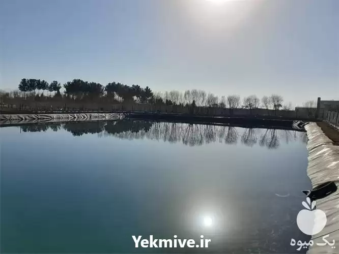 فروش اجرای استخر کشاورزی با ورق در گروه خرید و فروش ژئوممبران و ژئوتکستایل در یکمیوه -عکس1