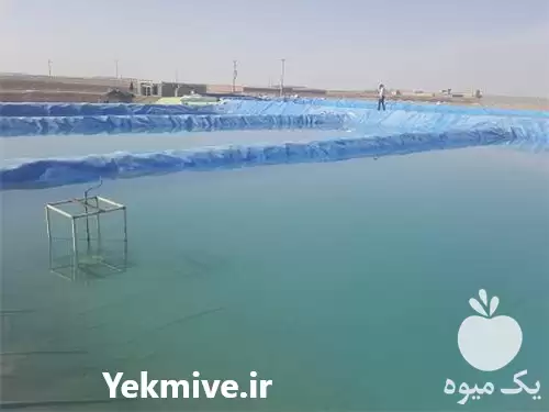 فروش اجرای استخر پلیمری در اصفهان در گروه خرید و فروش استخر کشاورزی در یکمیوه -عکس1