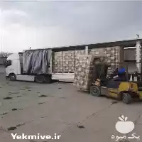 قیمت خرید کوکوپیت سریلانکا در کرج در گروه خرید و فروش انواع کود کشاورزی در یکمیوه