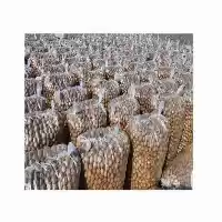 فروش قیمت خرید لیمو خشک سفید در گروه خرید و فروش میوه خشک در یکمیوه