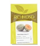 بذر ملون خربزه ویونا در باشت در گروه خرید و فروش بذر خربزه در یکمیوه