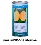 فروش بذر ملون آناناسی بذر ملون در اهواز در گروه خرید و فروش بذر ملون در یکمیوه