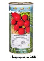 فروش بذر تربچه RADISH CHERRY BELLE در اهواز در گروه خرید و فروش بذر سبزی در یکمیوه