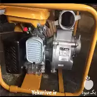 قیمت خرید موتور پمپ روبین در کرج در گروه خرید و فروش موتور کشاورزی در یکمیوه