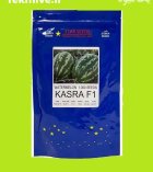 بذر هندوانه کسری استار سیدز فروش در اهواز در گروه خرید و فروش بذر هندوانه در یکمیوه