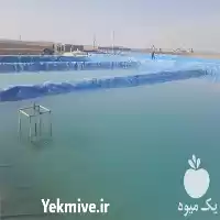 فروش اجرای استخر پلیمری در اصفهان در گروه خرید و فروش استخر کشاورزی در یکمیوه