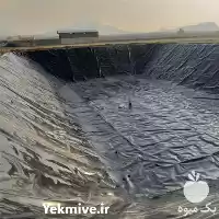 فروش احداث استخر پلیمری در تهران در گروه خرید و فروش ژئوممبران و ژئوتکستایل در یکمیوه