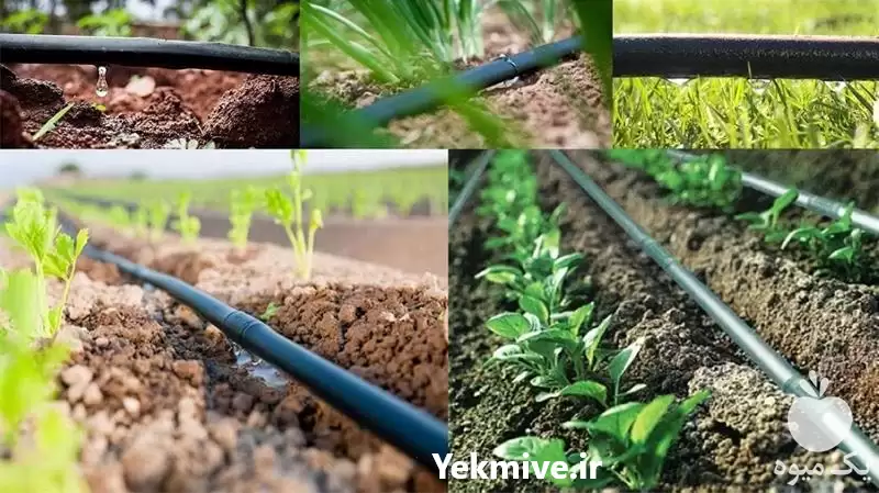 قیمت خرید نوار تیپ لوله در شیراز در گروه خرید و فروش نوار تیپ در یکمیوه -عکس1