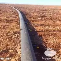 قیمت خرید لوله و اتصالات آبیاری در گروه خرید و فروش لوله کشاورزی در یکمیوه