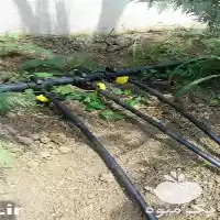 فروش اجرای آبیاری قطره ای باغی در گروه خرید و فروش دستگاه آبیاری در یکمیوه