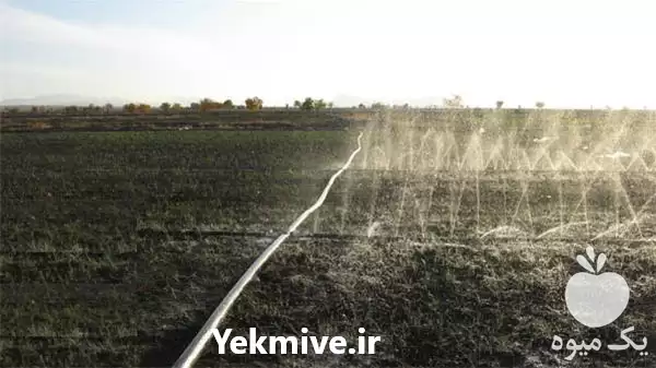 قیمت خرید لوله بارانی در مشهد در گروه خرید و فروش لوله کشاورزی در یکمیوه -عکس1