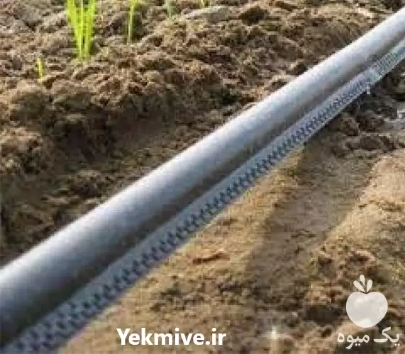 نوار تیپ کیفیت استاندارد در زنجان در گروه خرید و فروش نوار تیپ در یکمیوه -عکس1