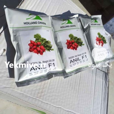 فروش بذر تربچه انیل در اصفهان در گروه خرید و فروش بذر سبزی در یکمیوه -عکس1