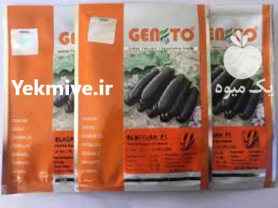 فروش بذر بادمجان بلک جان در گروه خرید و فروش بذر بادمجان در یکمیوه -عکس1