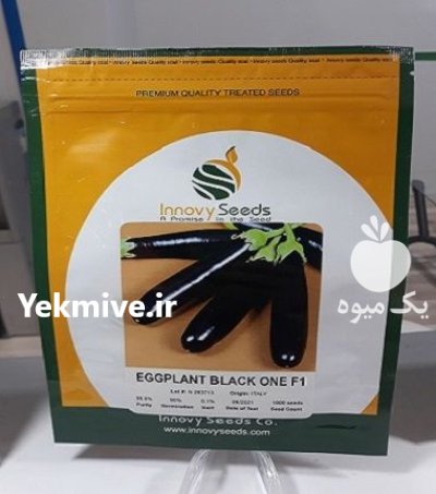فروش بذر بادمجان قلمی بلک وان در یزد در گروه خرید و فروش بذر بادمجان در یکمیوه -عکس1