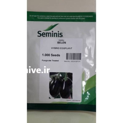 بذر بادمجان بلن سمینیس در گروه خرید و فروش بذر بادمجان در یکمیوه -عکس1