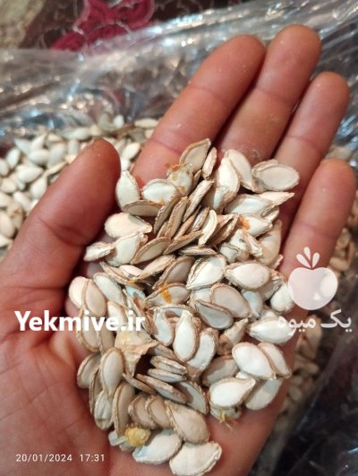 تخم کدو حلوایی درجه 1 در گروه خرید و فروش آجیل در یکمیوه -عکس1