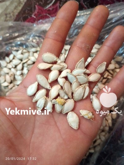 تخم کدو حلوایی درجه 1 در گروه خرید و فروش آجیل در یکمیوه -عکس2