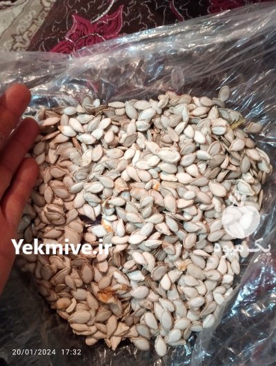 تخم کدو حلوایی درجه 1 در گروه خرید و فروش آجیل در یکمیوه -عکس3