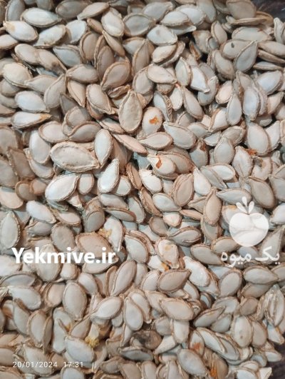 تخم کدو حلوایی درجه 1 در گروه خرید و فروش آجیل در یکمیوه -عکس4