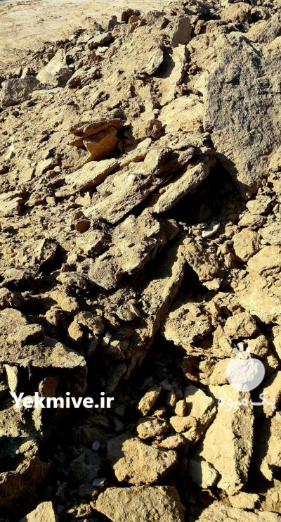 کود شترمرغ خشک در پاکدشت در گروه خرید و فروش کود مرغی در یکمیوه -عکس4