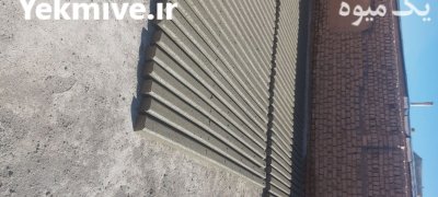 پایه بتنی انگور ماندگار در تاکستان در گروه خرید و فروش داربست انگور در یکمیوه -عکس2