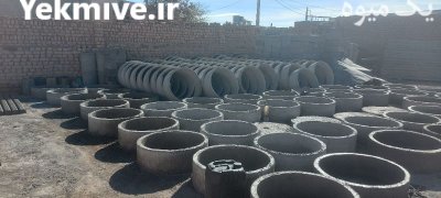 پایه بتنی انگور ماندگار در تاکستان در گروه خرید و فروش داربست انگور در یکمیوه -عکس4