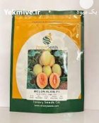 بذر خربزه ملون آلوین اینوواسید در گروه خرید و فروش بذر خربزه در یکمیوه