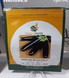 فروش بذر بادمجان قلمی بلک وان در یزد در گروه خرید و فروش بذر بادمجان در یکمیوه