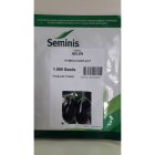 بذر بادمجان بلن سمینیس در گروه خرید و فروش بذر بادمجان در یکمیوه