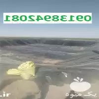 قیمت خرید قیمت استخر پلیمری در گروه خرید و فروش استخر کشاورزی در یکمیوه