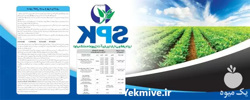 فروش نوار آبیاری قطره ای برند در گروه خرید و فروش دستگاه آبیاری در یکمیوه -عکس1