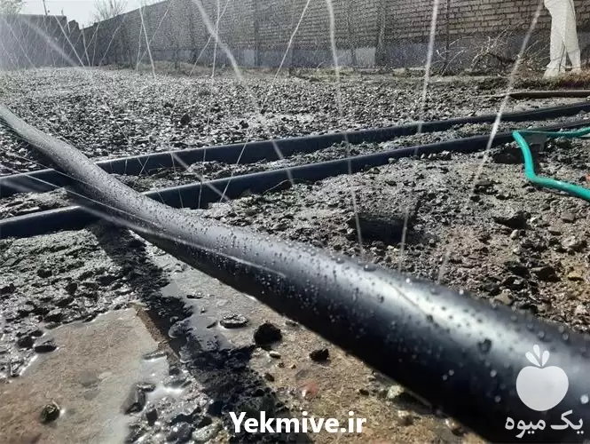 تولید فروش نوار تیپ آبیاری قطره در اصفهان در گروه خرید و فروش نوار تیپ در یکمیوه -عکس1