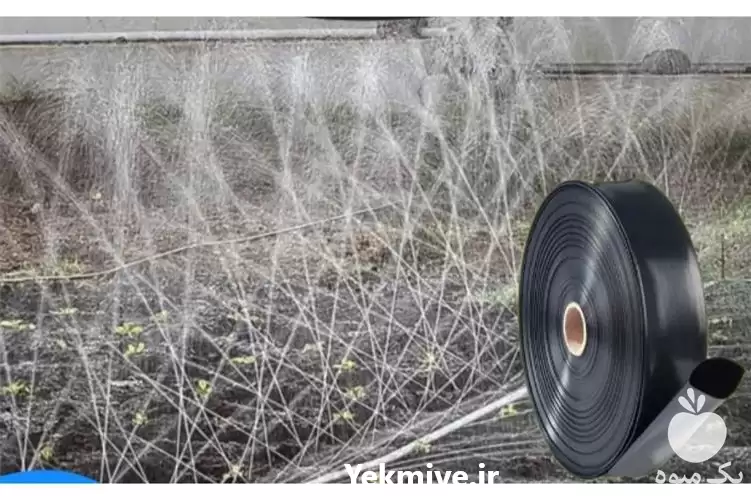 قیمت خرید ویژه نوار تیپ در اصفهان در گروه خرید و فروش نوار تیپ در یکمیوه -عکس1