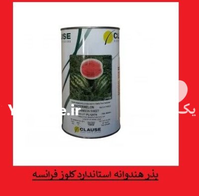 فروش بذر هندوانه استاندارد کلوز فرانسه در اهواز در گروه خرید و فروش بذر هندوانه در یکمیوه -عکس1